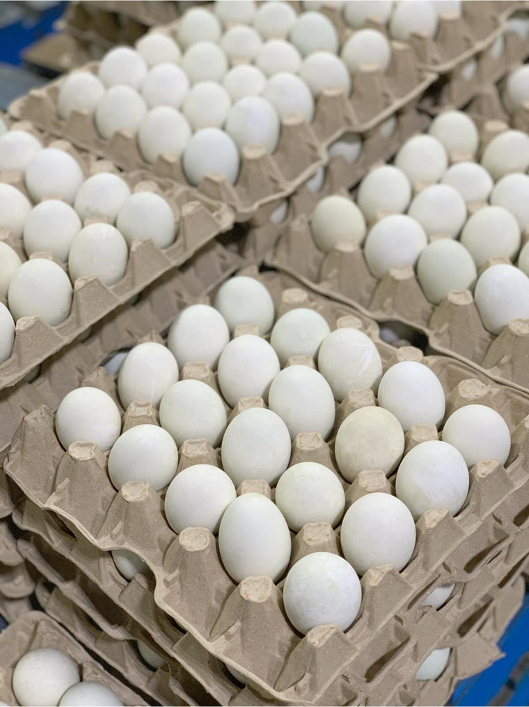 Salted Duck Eggs by Tray (20 eggs/tray) - Made in Australia