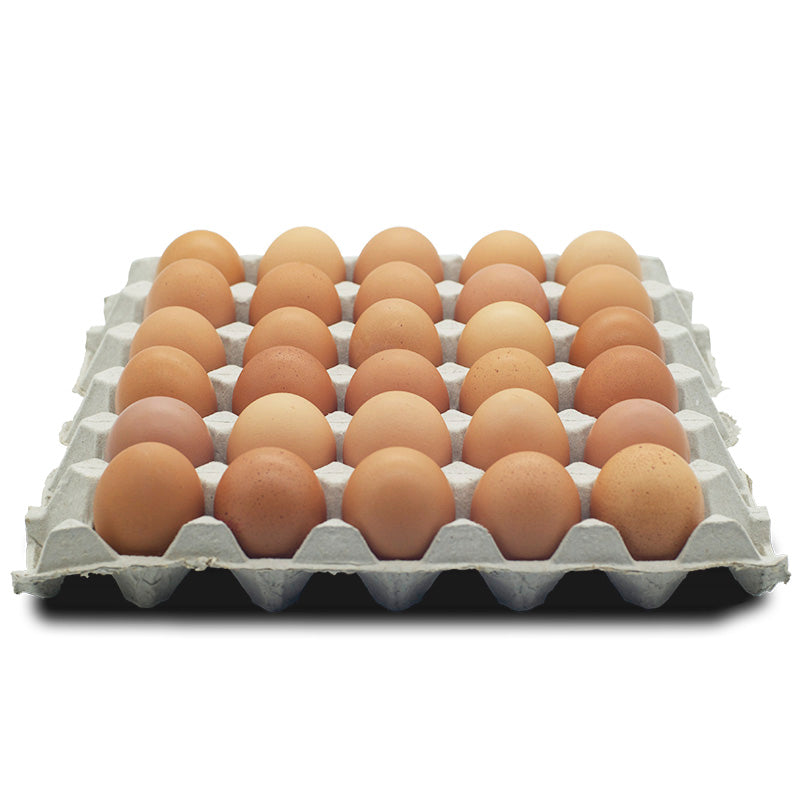 Chicken Eggs Tray (30Eggs/Tray)