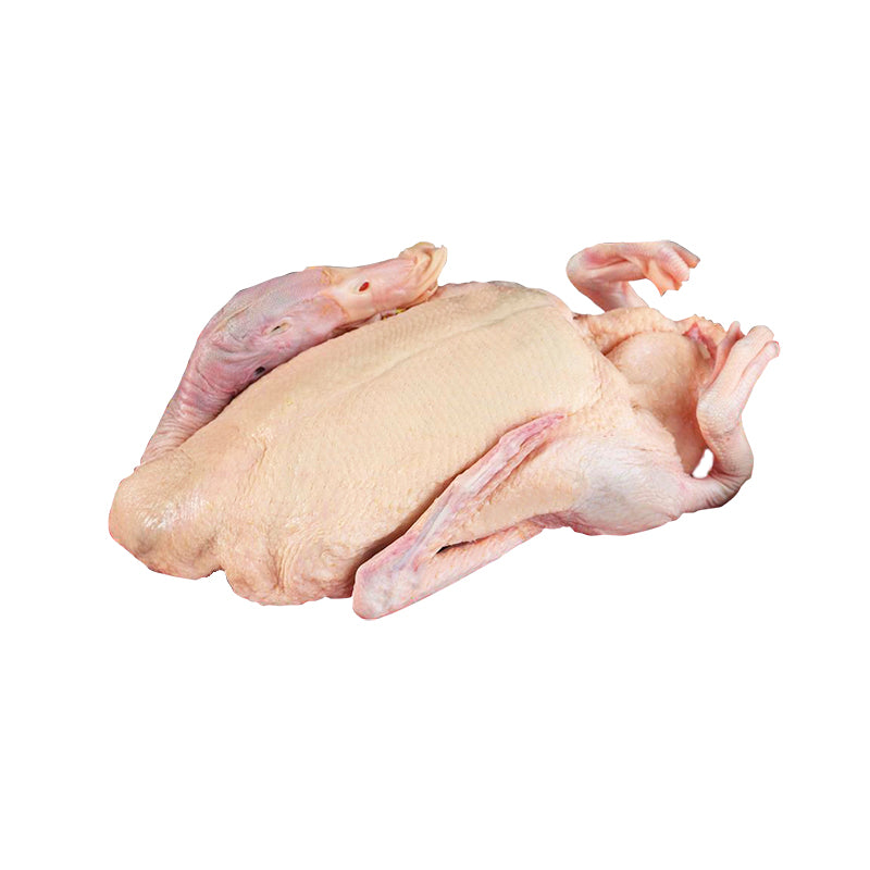 Corn Fed Duck with Head and Feet (Whole) - Vịt da vàng (có đầu có chân)