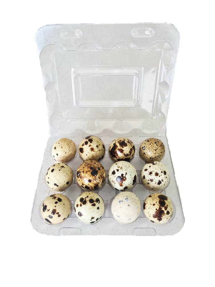 Quail Eggs (130g)