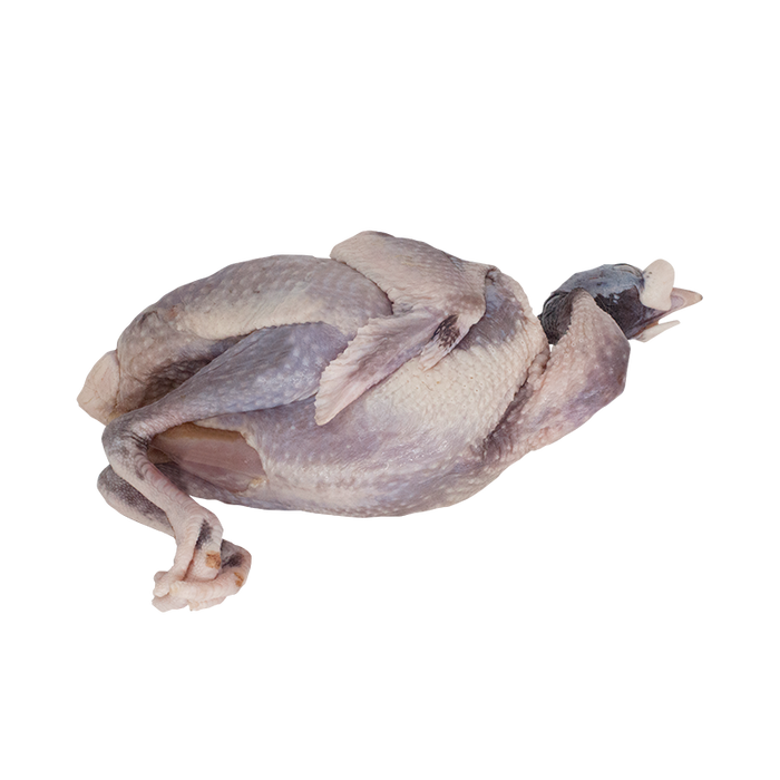 Guinea Fowl (Whole) - Frozen