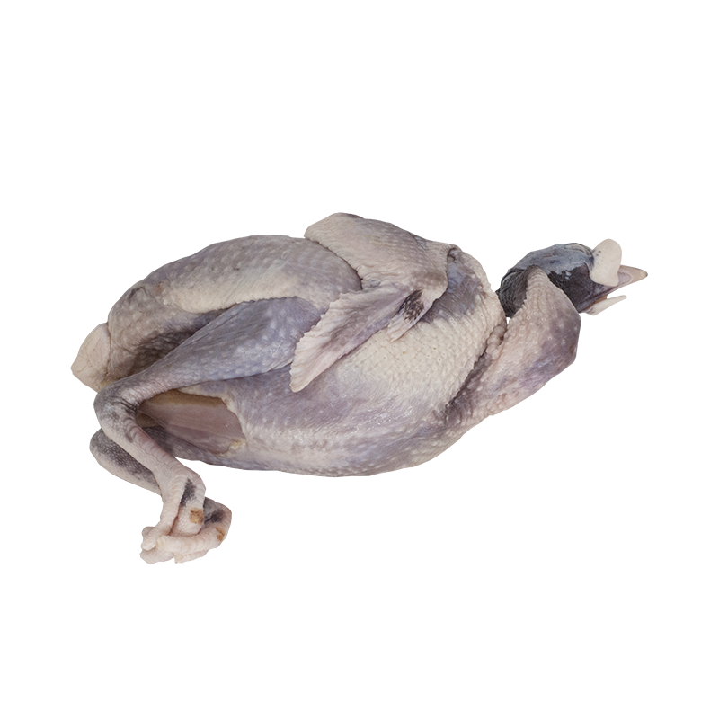 Guinea Fowl (Whole) - Frozen