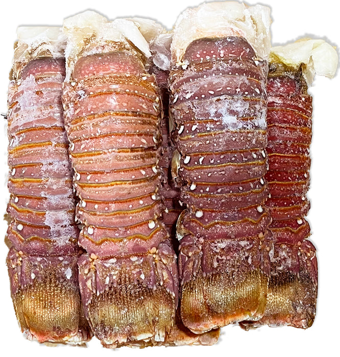 Australian Lobster Tail (FZN) (250 Gram/Each)