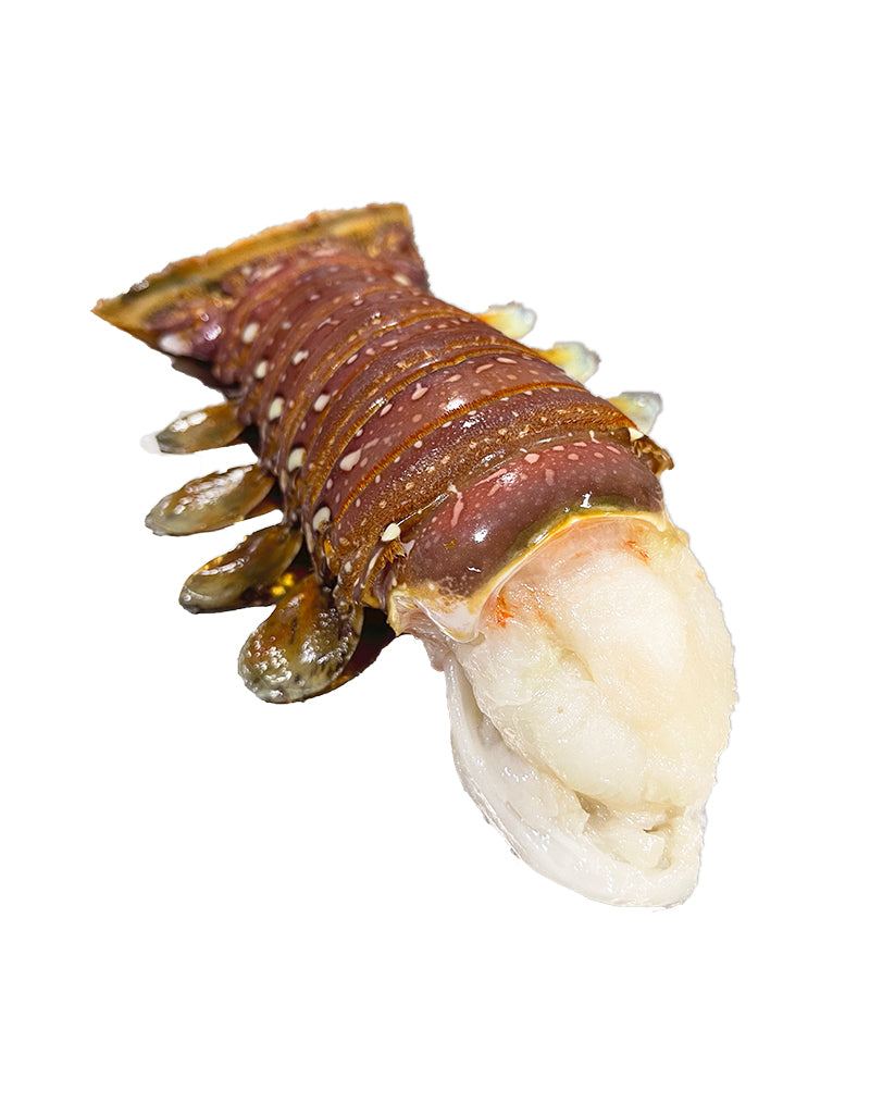 Australian Lobster Tail (FZN) (250 Gram/Each)