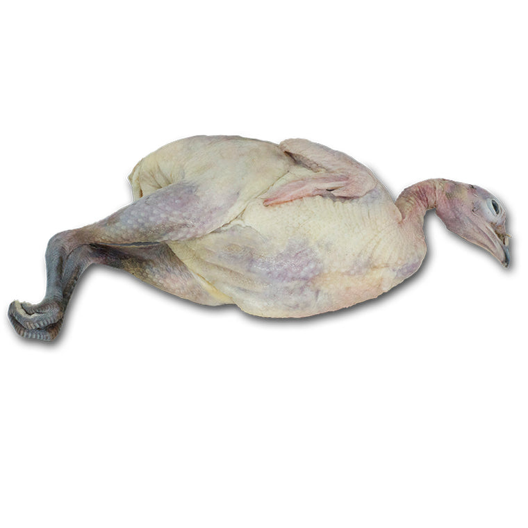 Pheasant (Whole) - Frozen