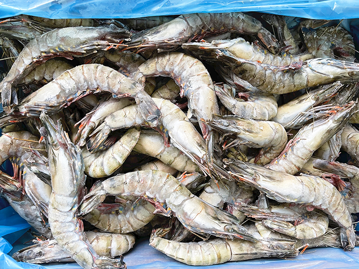 Frozen Raw Australian Tiger Prawns U10 - Tropic Co (2KG Box)