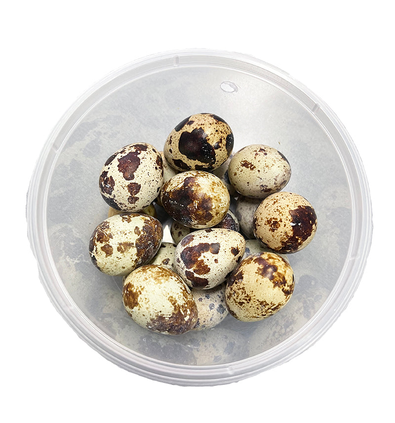 Quail Eggs (CTN)