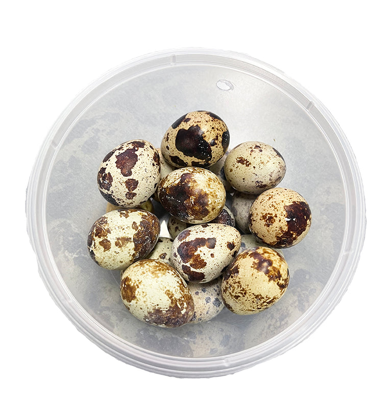 Quail Eggs (CTN)