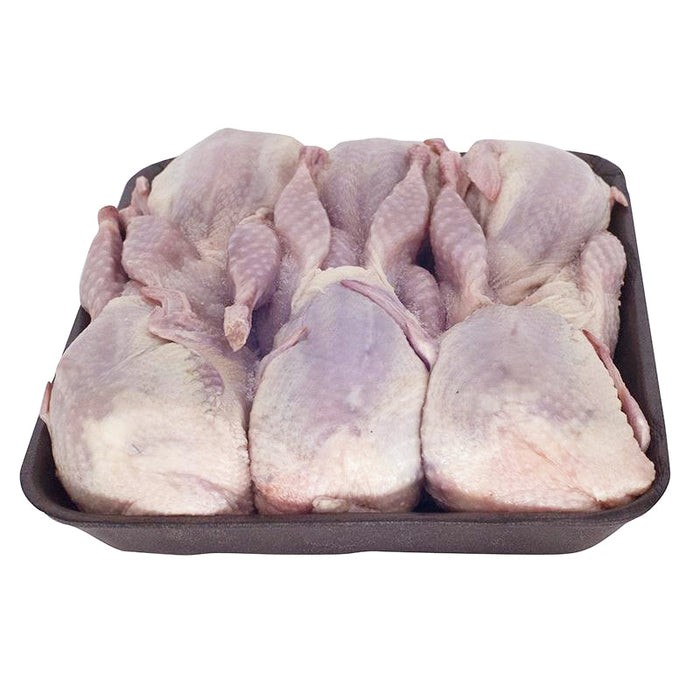 Frozen Large Quail (6x) - Chim Cút