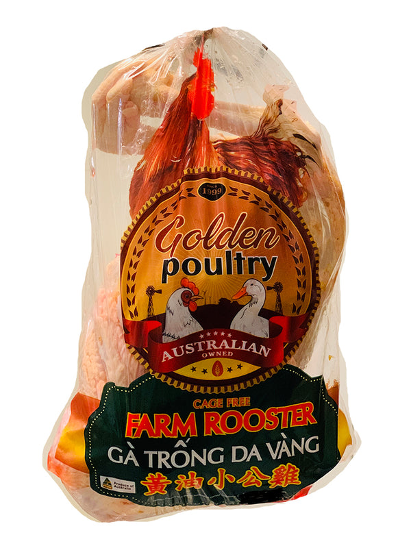 Rooster Whole (Cockerel) - Gà Trống Da Vàng