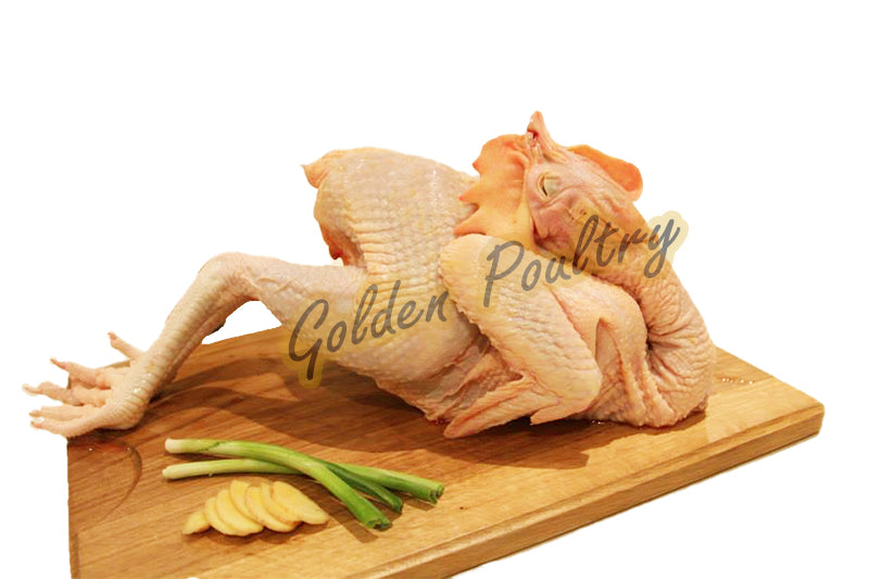 Rooster Whole (Cockerel) - Gà Trống Da Vàng