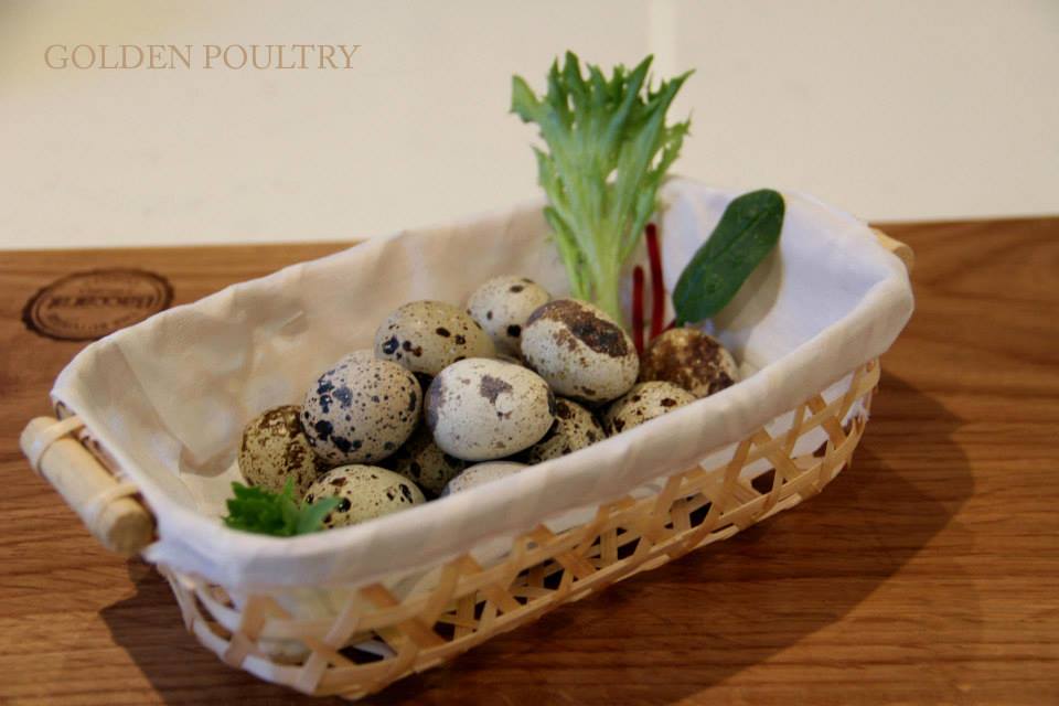 Quail Balut - Trứng Cút Lộn